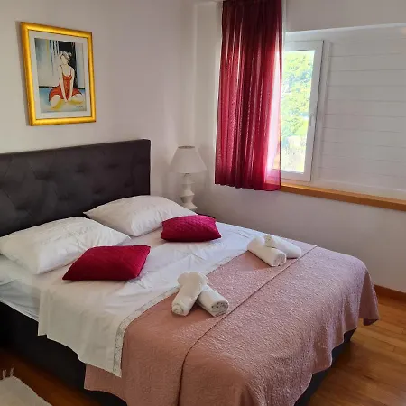 公寓 White Towers Residences No. 8 扎达尔